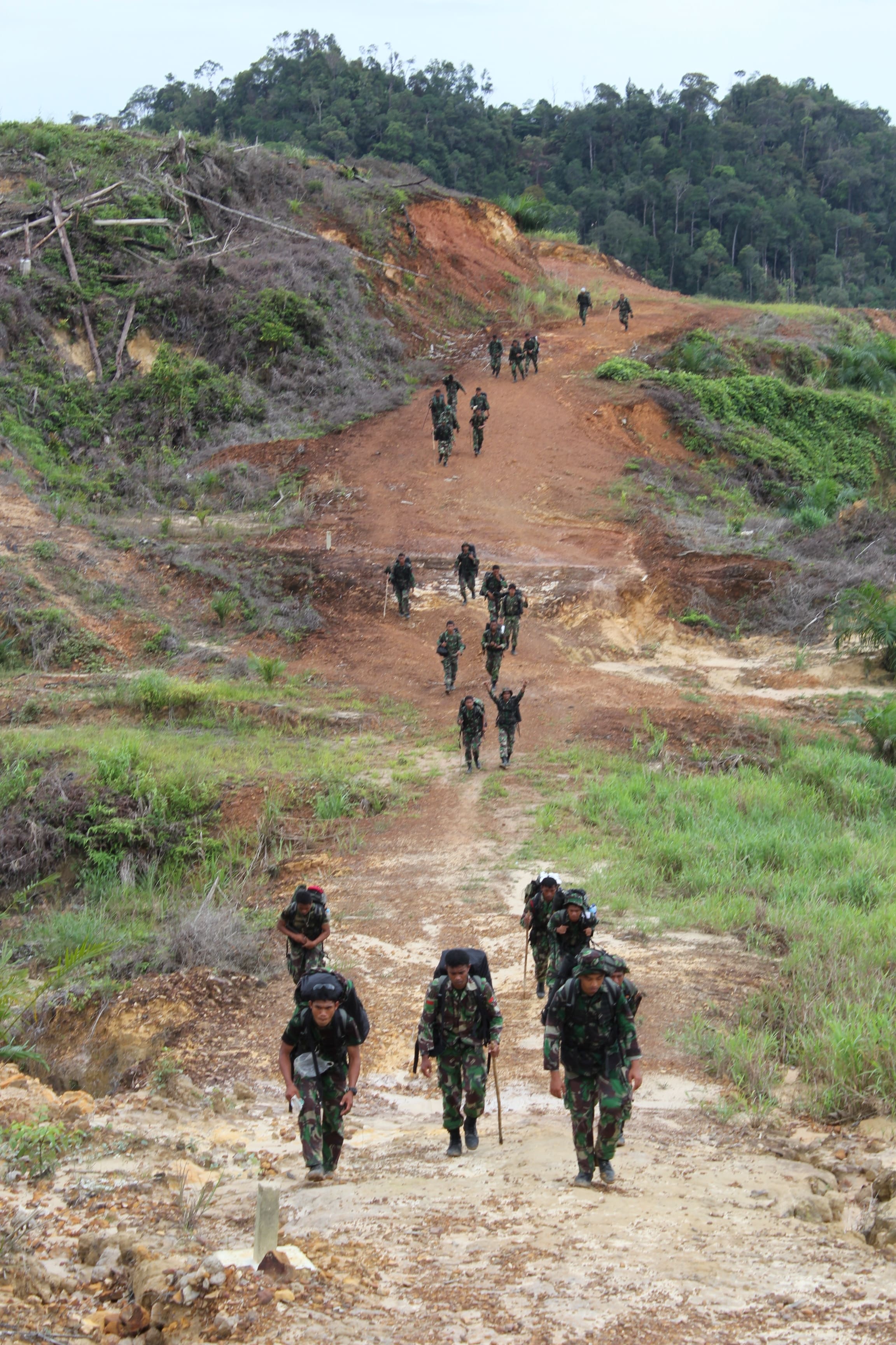 Ekspedisi Khatulistiwa, 2012 – Variasi medan penjelajahan di perkebunan sawit