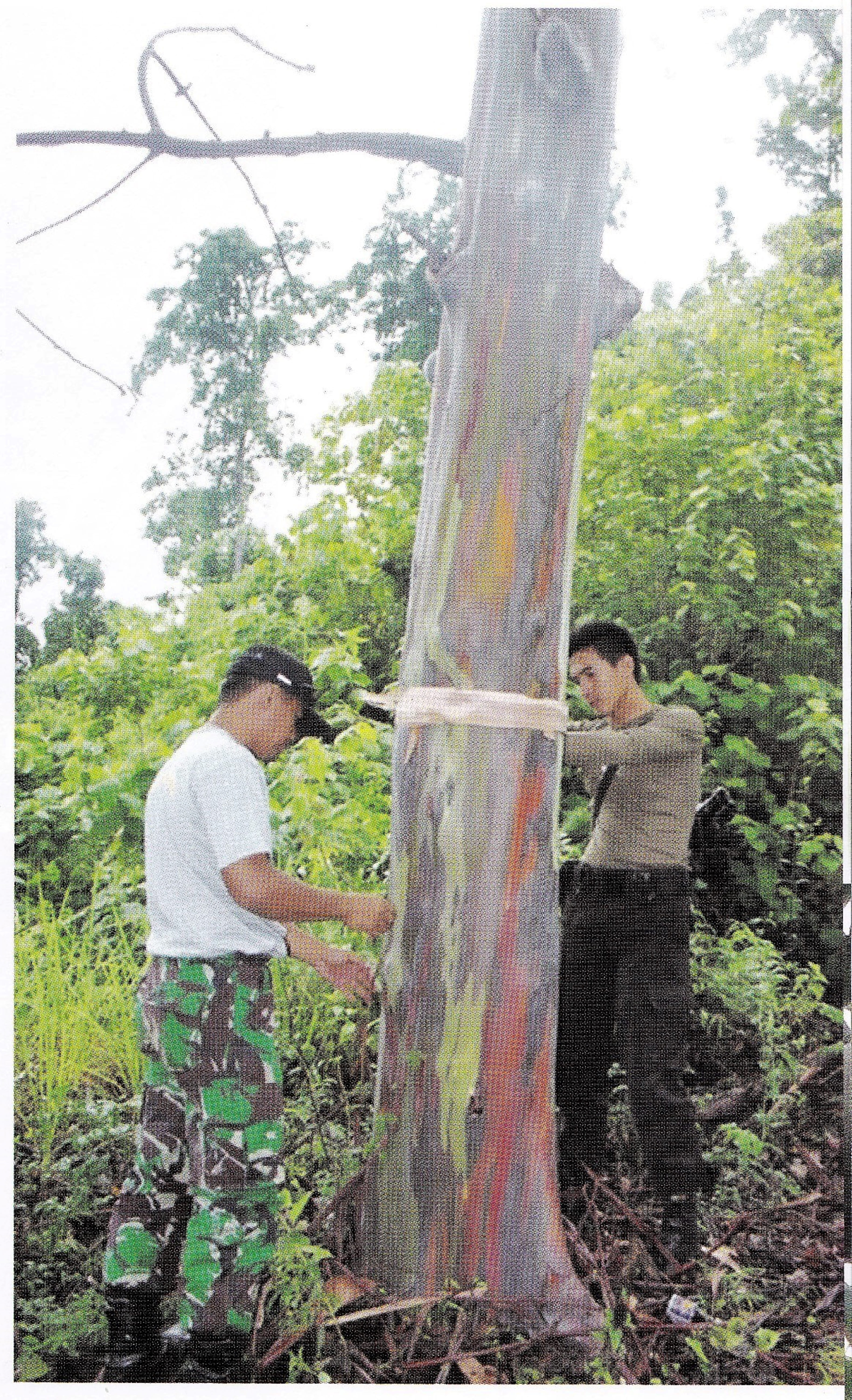 Ekspedisi NKRI – Koridor Sulawesi, 2013
