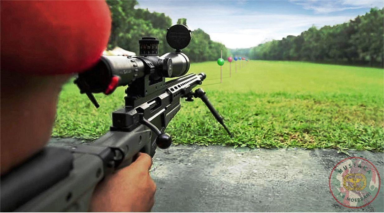 Multi Shooting Target, 11 sasaran 1x tembak, 2016